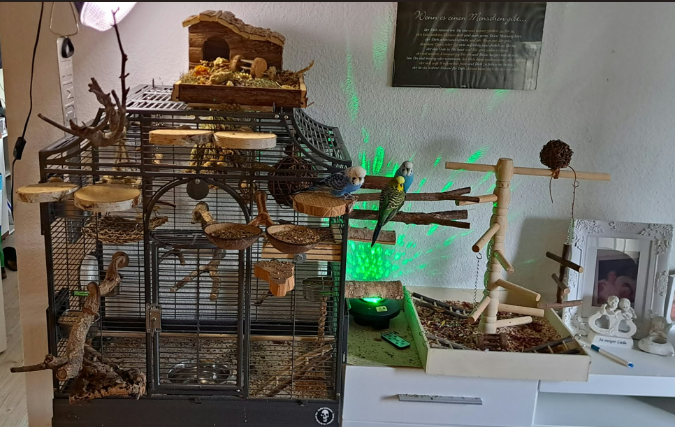 Der aktuelle Hangar der Operation Federstorm